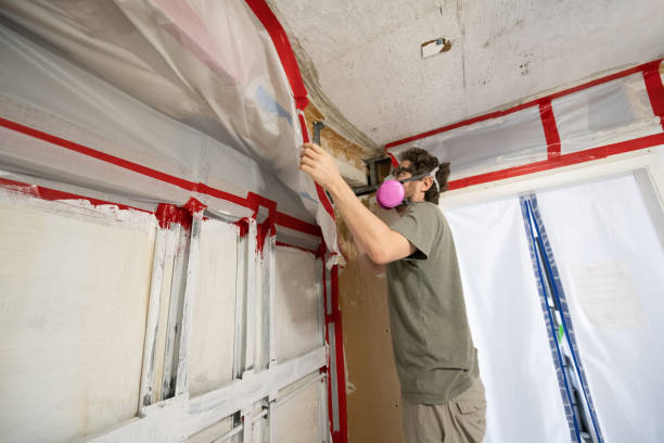 Trusted Buckhead, GA Mold Removal Experts